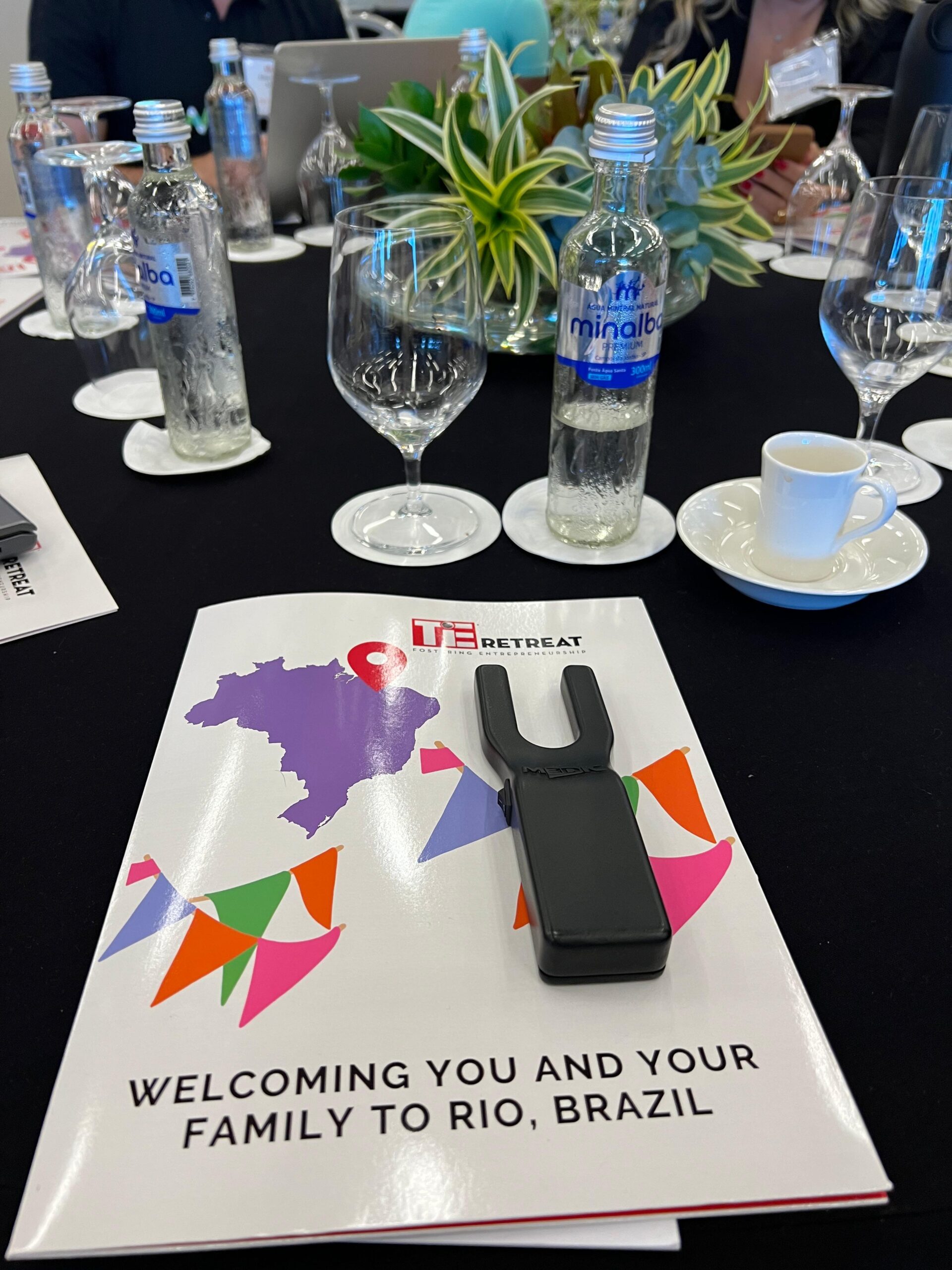 TIE Global Summit - Fostering Entrepreneurship (2023)